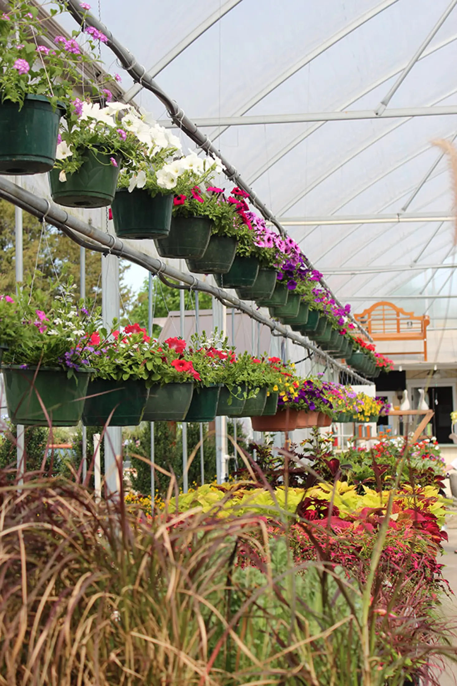 Nature's Best Nursery, Lawn & Landscape