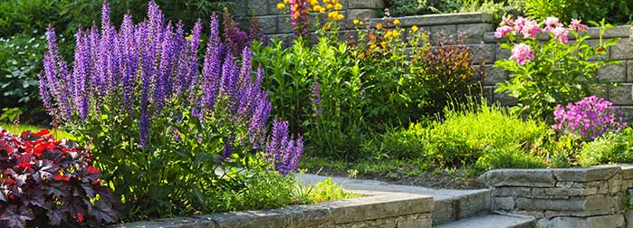 Hardscape & Outdoor Living