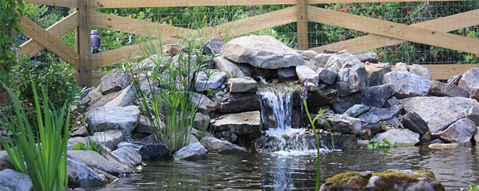 Landscape Installation