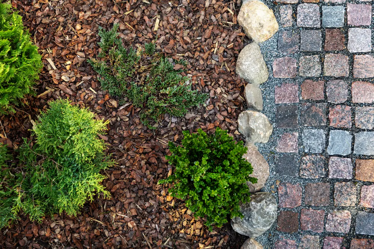 Preparing for Spring in TN - How to Ready Landscape Beds and Remulch