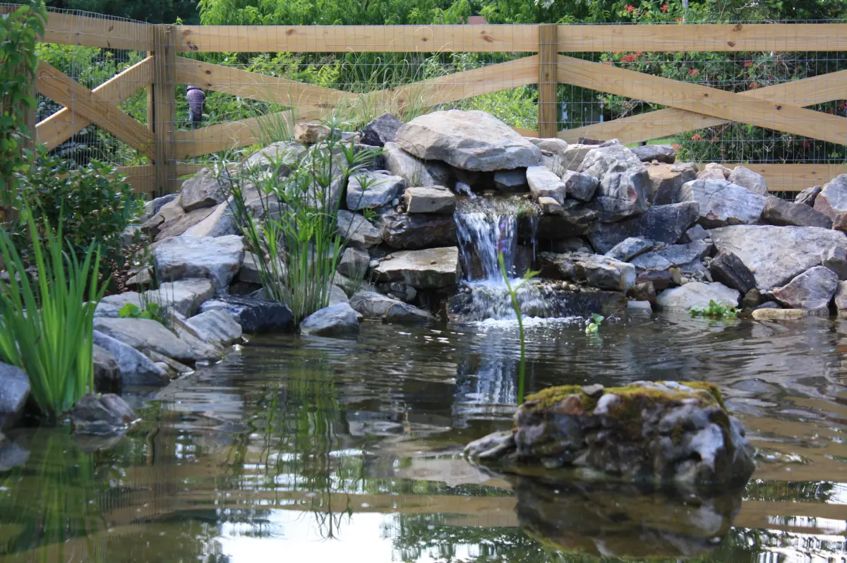 Water Features for Your Landscape in TN