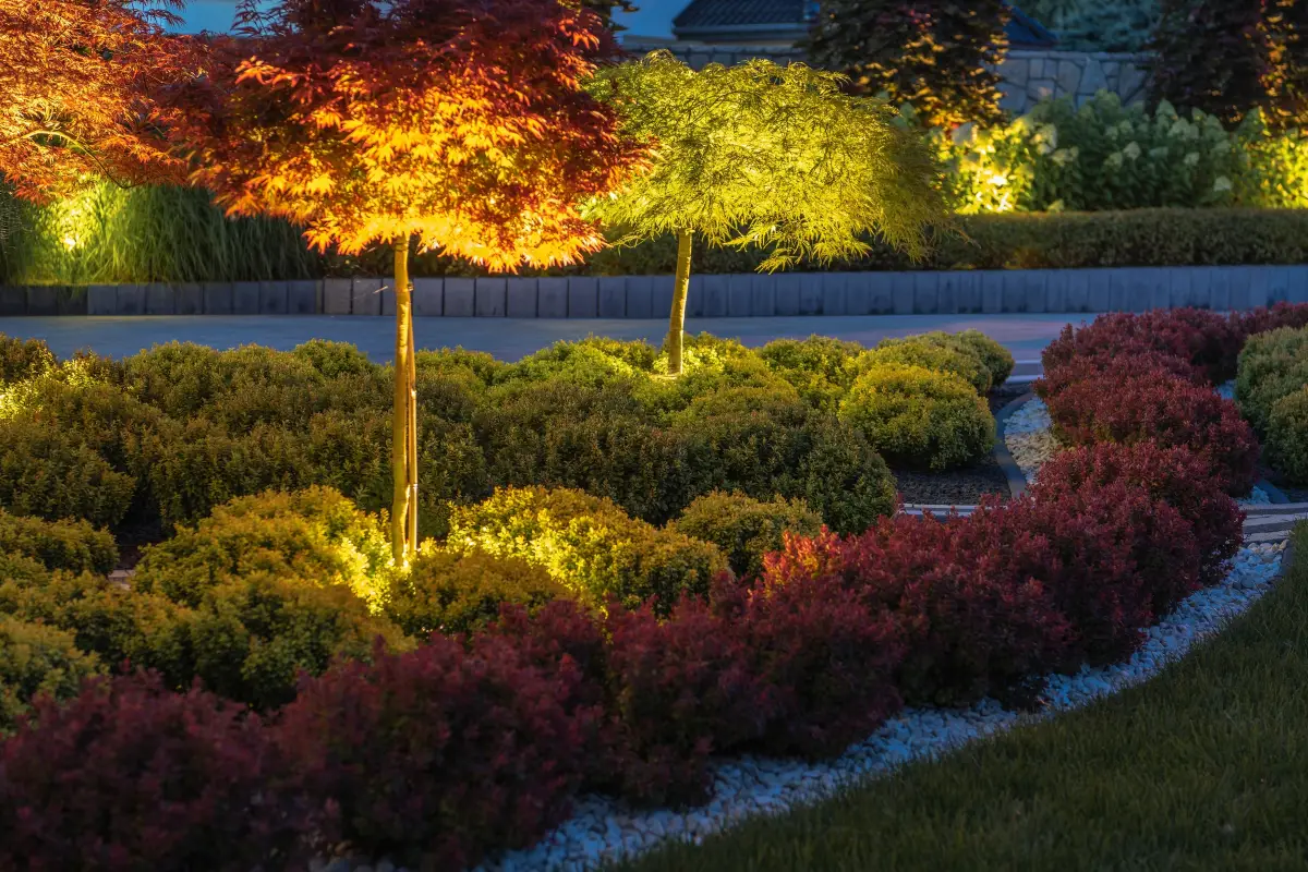 Hardscapes and Lighting: Creating an Outdoor Living Area